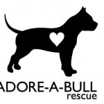 Adore a Bull Rescue